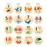 Eco-Friendly Newly Designed Newborn Monthly Growth Record Card Baby Milestone Engraving Card